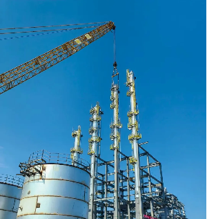 1765276275258993.png 9.5.png